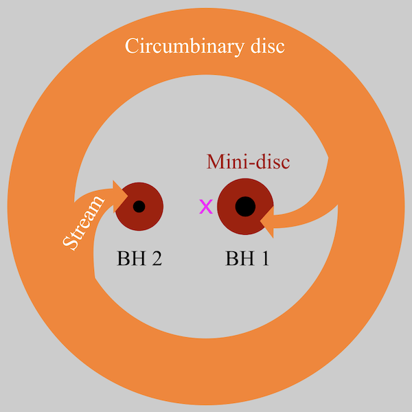 Circumbinary Disc Subgrid Model Image